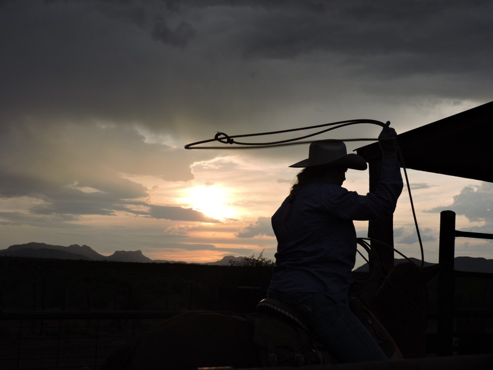 Mackenzie roping a calf to brand at sunset