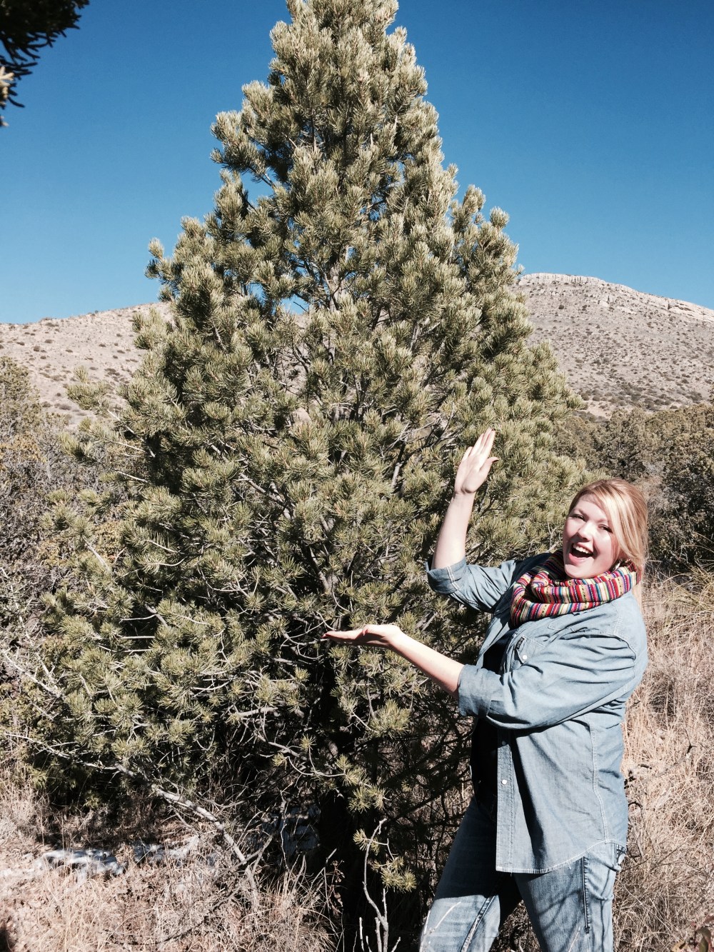 VannaWhite pose with tree