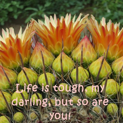 darling tough quote.jpg