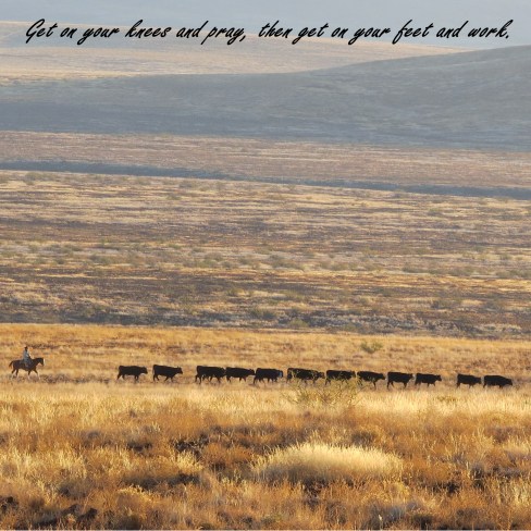 pray and work quote.jpg