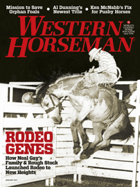 western-horseman